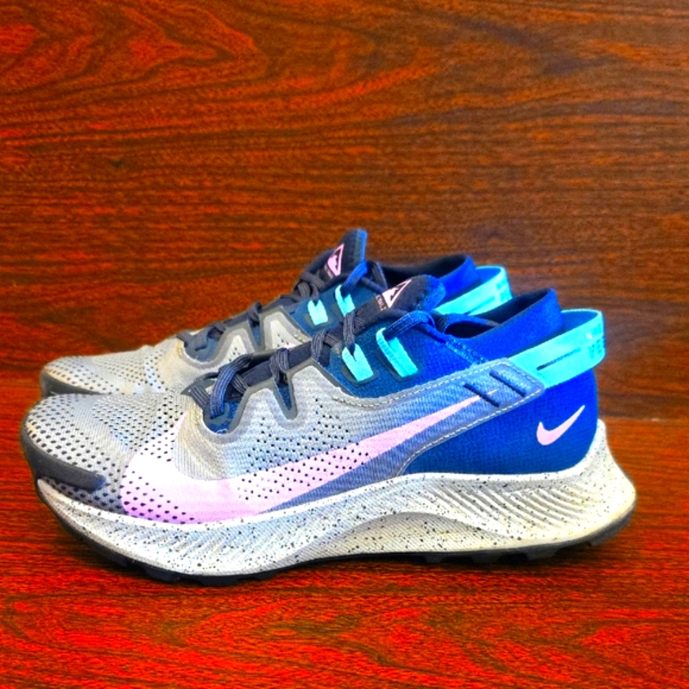 Nike Pegasus Trail 2 GTX